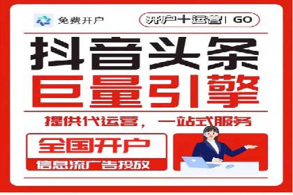 SEM广告投放的技巧与策略——成功案例分享